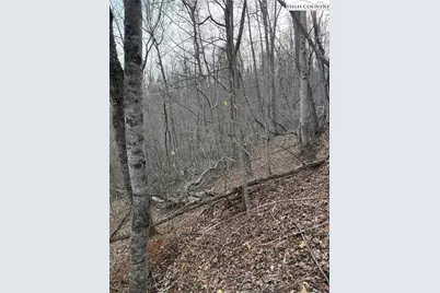 0 White Fawn Drive, Spruce Pine, NC 28777 - Photo 11