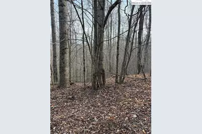 0 White Fawn Drive, Spruce Pine, NC 28777 - Photo 9