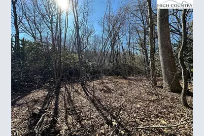 Lot 1 Hummingbird Lane, Blowing Rock, NC 28605 - Photo 7