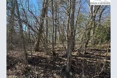 Lot 1 Hummingbird Lane, Blowing Rock, NC 28605 - Photo 5