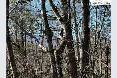 Lot 1 Hummingbird Lane, Blowing Rock, NC 28605 - Photo 3