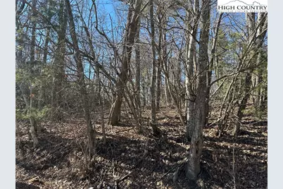 Lot 1 Hummingbird Lane, Blowing Rock, NC 28605 - Photo 9