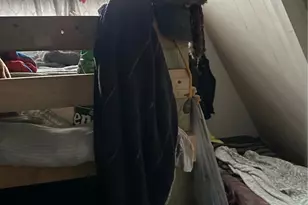 240 Ski Crest Park, Blowing Rock, NC 28605 - Photo 13