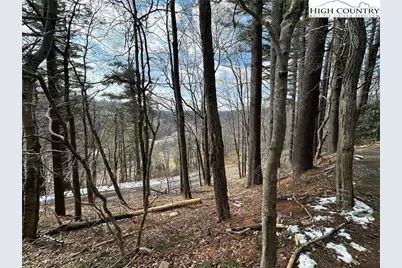 240 Ski Crest Park, Blowing Rock, NC 28605 - Photo 3