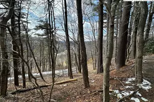 240 Ski Crest Park, Blowing Rock, NC 28605 - Photo 3