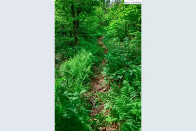 C605 Sugartree Nvno, Zionville, NC 28698 - Photo 45