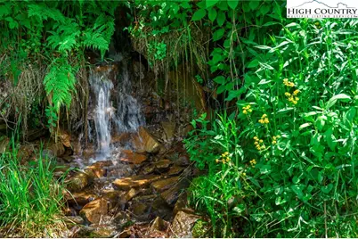 C610 High Mountain Nvno, Zionville, NC 28698 - Photo 49