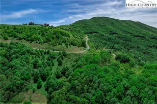 C611 Sugartree Nvno, Zionville, NC 28698 - Photo 1