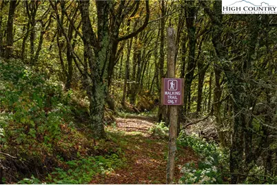 C611 Sugartree Nvno, Zionville, NC 28698 - Photo 47