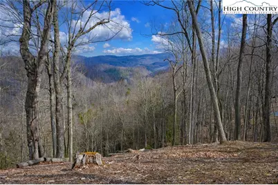 Tbd Raspberry Lane, Elk Park, NC 28622 - Photo 1