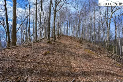 Tbd Raspberry Lane, Elk Park, NC 28622 - Photo 7
