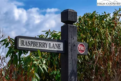 Tbd Raspberry Lane, Elk Park, NC 28622 - Photo 9