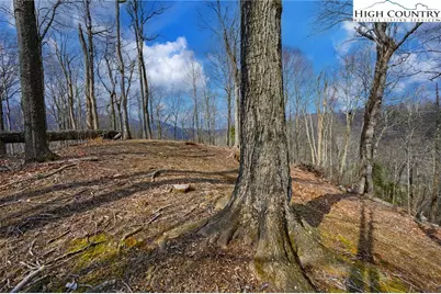 Tbd Raspberry Lane, Elk Park, NC 28622 - Photo 3