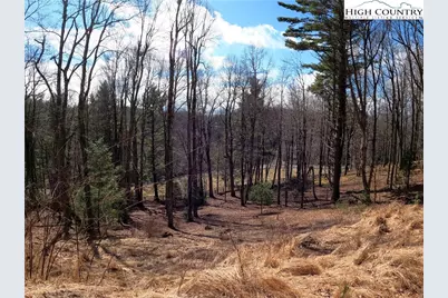 Lot 4 Churchill Downs, Boone, NC 28607 - Photo 7