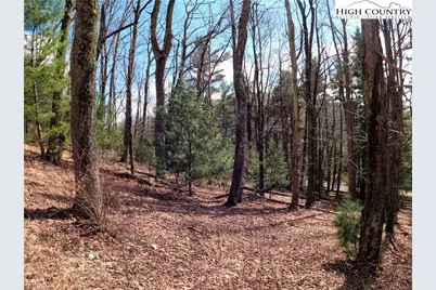 Lot 4 Churchill Downs, Boone, NC 28607 - Photo 11