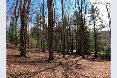 Lot 4 Churchill Downs, Boone, NC 28607 - Photo 13