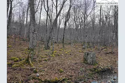 Tbd Rock Spring Circle, Sugar Mountain, NC 28604 - Photo 3