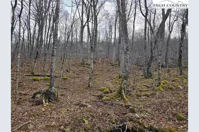 Tbd Rock Spring Circle, Sugar Mountain, NC 28604 - Photo 5