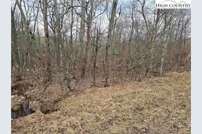 Tbd Rock Spring Circle, Sugar Mountain, NC 28604 - Photo 13