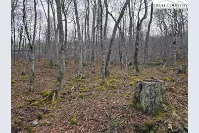 Tbd Rock Spring Circle, Sugar Mountain, NC 28604 - Photo 7