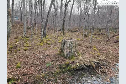 Tbd Rock Spring Circle, Sugar Mountain, NC 28604 - Photo 9