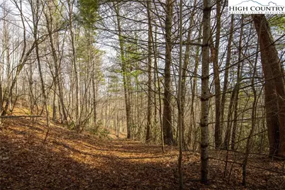 Lot 11 Forever Drive, Fleetwood, NC 28626 - Photo 17