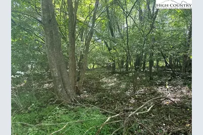 Lot 41 Riverwind Drive, Lansing, NC 28643 - Photo 3