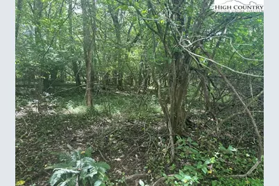 Lot 41 Riverwind Drive, Lansing, NC 28643 - Photo 5