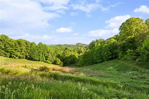 244 Flat Springs Rd, Elk Park, NC 28622 - Photo 9