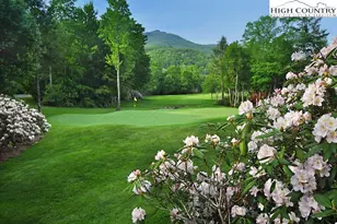 346 Wren Way, Banner Elk, NC 28604 - Photo 7