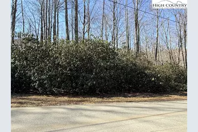 545 Pinnacle Ridge Road, Beech Mountain, NC 28604 - Photo 5