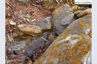 Lots 37 and 38 Snow Ridge Road, Banner Elk, NC 28604 - Photo 5