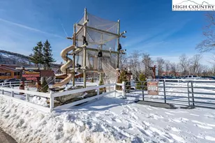 101 Upper Holiday Ln, Beech Mountain, NC 28604 - Photo 19