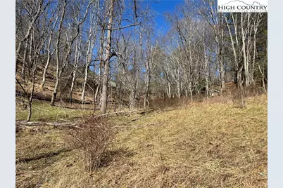 Lot#42 Isabelle Rose Way, Piney Creek, NC 28663 - Photo 21