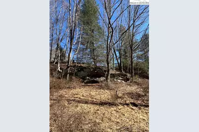 Lot#42 Isabelle Rose Way, Piney Creek, NC 28663 - Photo 5