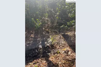 Lot#42 Isabelle Rose Way, Piney Creek, NC 28663 - Photo 17