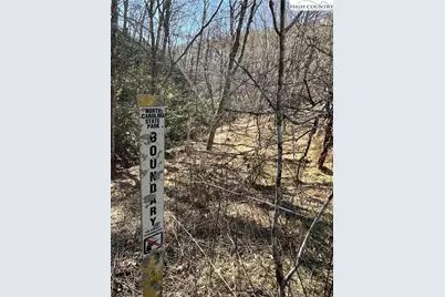 Lot#42 Isabelle Rose Way, Piney Creek, NC 28663 - Photo 15