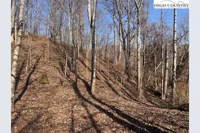 00 US 19 Highway, Newland, NC 28657 - Photo 11