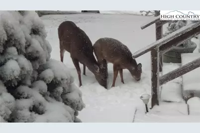 101 Courtside Lane #A2, Beech Mountain, NC 28604 - Photo 41