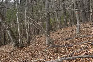 Tbd The Peaks Regal Dr, Laurel Springs, NC 28644 - Photo 1