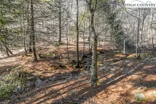 326 Deer Ridge Ln, Sparta, NC 28675 - Photo 37