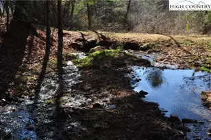 326 Deer Ridge Ln, Sparta, NC 28675 - Photo 43