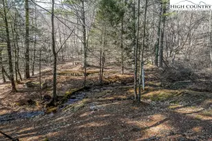 326 Deer Ridge Ln, Sparta, NC 28675 - Photo 7