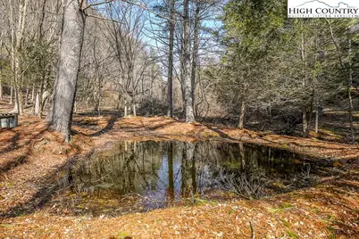 326 Deer Ridge Lane, Sparta, NC 28675 - Photo 41