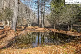 326 Deer Ridge Ln, Sparta, NC 28675 - Photo 41