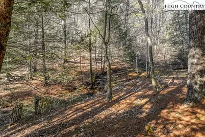 326 Deer Ridge Lane, Sparta, NC 28675 - Photo 39