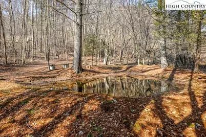 326 Deer Ridge Lane, Sparta, NC 28675 - Photo 9