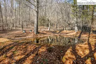 326 Deer Ridge Ln, Sparta, NC 28675 - Photo 9