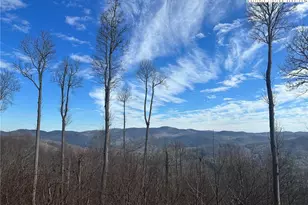 299 Indian Paintbrush Dr, Banner Elk, NC 28604 - Photo 15