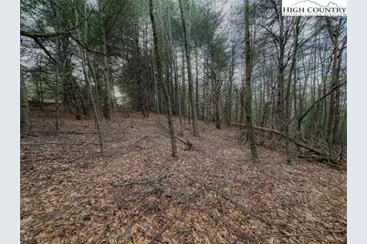 Lot 31 Shawnee Trail, Jefferson, NC 28640 - Photo 9